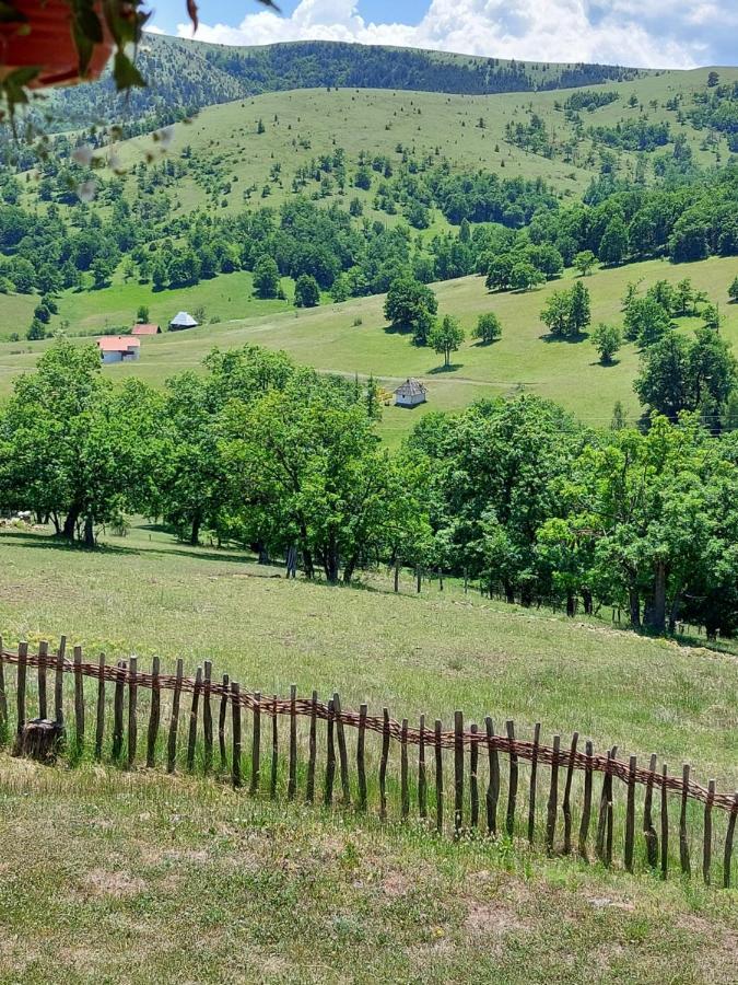Iva Lejlighed Zlatibor Eksteriør billede